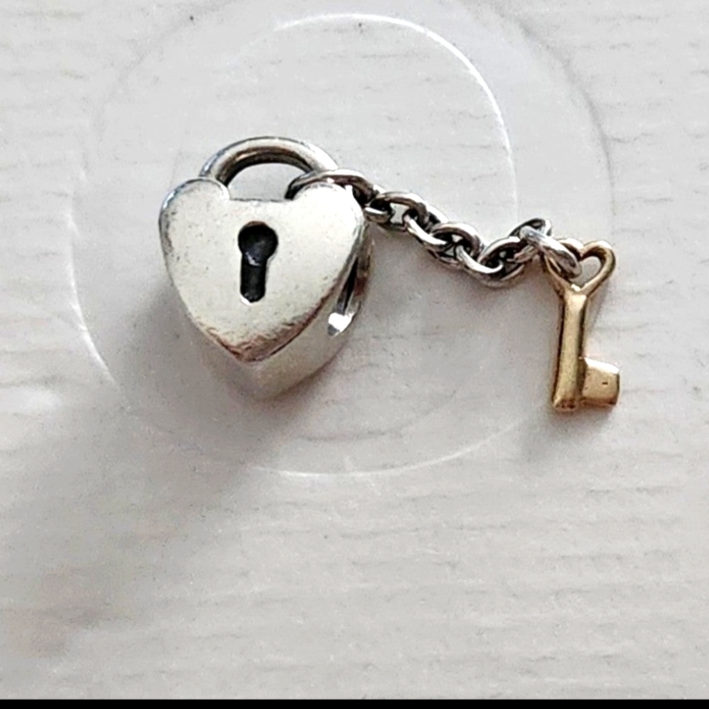 💙💜Pandora Charm 🩵🩵💜💜